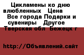 Цикламены ко дню влюбленных › Цена ­ 180 - Все города Подарки и сувениры » Другое   . Тверская обл.,Бежецк г.